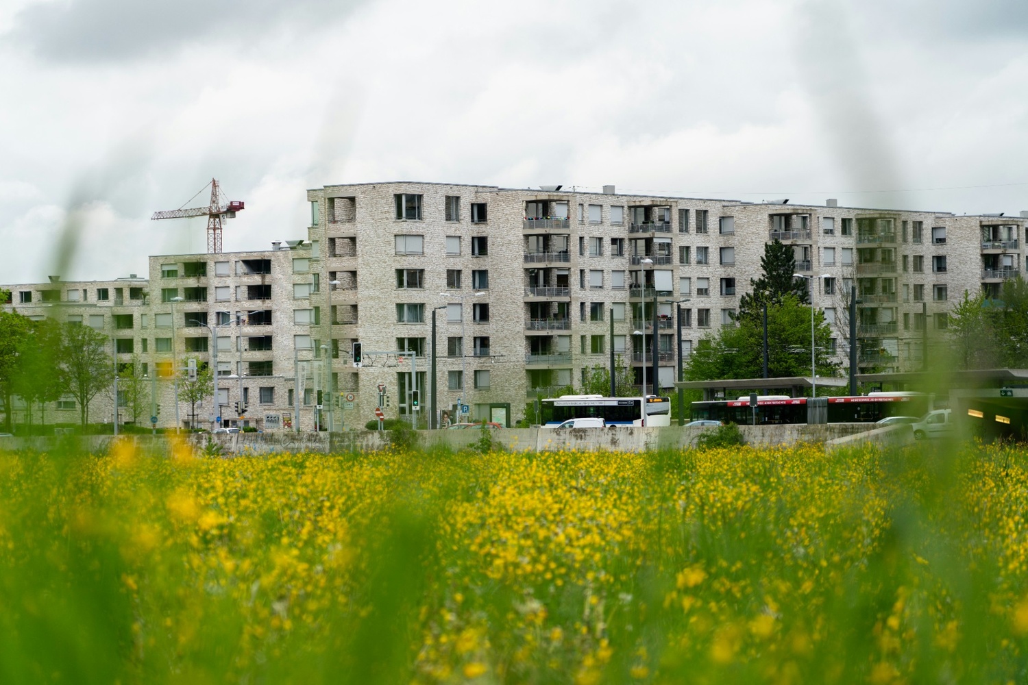 Blog Featured Image